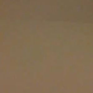 Meet your Posher, Dyra